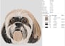 do your cat, dog, pet convert into embroidery